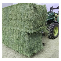 Foin d'alfalfa de qualité supérieure en balles et en granulés avec une humidité de 2% et une durée de conservation de 2 ans pour l'alimentation des chevaux et du bétail