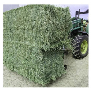 Top-quality Grade a Alfalfa Hay in Bales and Pellets with Moisture 2% and 2 Year Shelf Life for Horse and Cattle Feed - Product Image 3