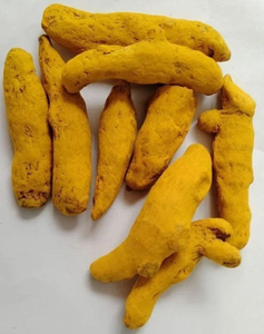 Cachos de cúrcuma secos enteros para procesamiento de alimentos, mercados de hierbas y especias, suministrados a granel a importadores y mayoristas en todo el mundo. - Product Image 4