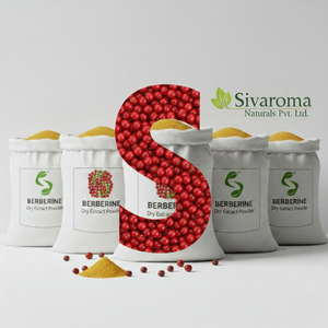 Extracto Seco de Berberina de Origen Vegetal, Grado Alimenticio, para Gestión Alimentaria y Distribución Global de Ingredientes - Product Image 5