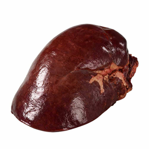Foie de bœuf congelé de qualité export, Halal, foie de bovin, vente en gros, approvisionnement en vrac, prix direct usine - Product Image 4