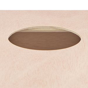 Birch Wood Cajon Box <b>Drum</b> with Travel Bag Hand Percussion Instrument and Guitar Strings - Product Image 2