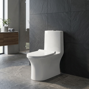 WC monobloc en céramique haut de gamme avec compatibilité S-trap et P-trap pour projets résidentiels - Product Image 3