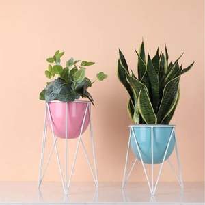 Support de Plante Moderne en Métal en Gros avec Pot, Étagère à Fleurs Décorative en Fer pour Intérieur, Support de Plante Géométrique de Bureau pour la Décoration de la Maison et du Bureau - Product Image 1