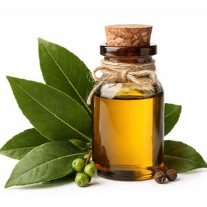 Huile Essentielle de Feuille de Laurier en Gros OEM 100% Pure et Naturelle Huile de Laurus Nobilis Qualité Aromathérapie et Cosmétique Fournisseur en Vrac - Product Image 1