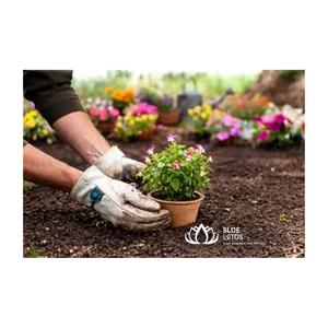 Conteneur de pépinière écologique en fibre de coco naturelle de qualité supérieure pour la culture de plantes, la fourniture et l'exportation de semis - Product Image 1