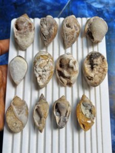 ASHU GEMS - Gemas Sueltas de Concha Fossilizada Natural, Druzy, Multicolores, en Forma de Lágrima Ovalada, Conchas Cristalizadas Curativas, Venta al por Mayor - Product Image 3