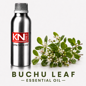 100% Pure Buchu Leaf <b>Essential</b> <b>Oil</b> Bulk Manufacturer Agathosma Betulina Organic Certified Cosmetic Grade Global Exporter Excelle - Product Image 1