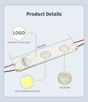 Module LED d'injection 1.5W 6113 avec 3LED bonne luminosité plusieurs couleurs IP65 12V entrée vert CCT certifié ROHS