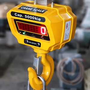 Balance de grue numérique 5000 kg avec affichage LED, boîtier en aluminium, 24V/230V, télécommandée, fonctionnant sur batterie rechargeable - Product Image 1