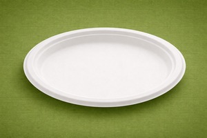 Eco-friendly Biodegradable Compostable Sugarcane Bagasse Disposable Modern Round Party Plate 500 Pcs/Box Axiom Exports - Product Image 4
