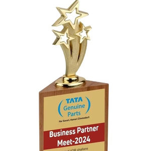 Réunions d'entreprise, récompense pour les partenaires, prix annuel pour les réalisations, prix du design étoilé, trophée avec base en bois, reconnaissance professionnelle - Product Image 1