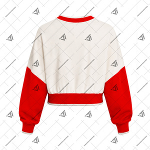 Delta griega al por mayor |   Sigma |   Theta |   DST Sorority Clothing Sudadera corta con bloques de color bordados para mujer - Product Image 2