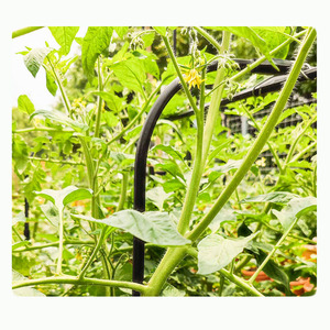 Grand treillis métallique pour plantes grimpantes, support pour légumes, pois et fruits - Product Image 6