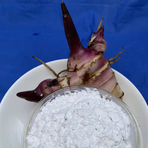 Poudre d'amidon d'arrowroot biologique de qualité supérieure, goût naturel, pour aliments et ingrédients, emballée en sachet, provenant du Vietnam - Product Image 1