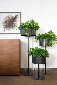 Soportes de Metal Modernos y Minimalistas para Plantas de Interior con Diseño Circular, Acabado con Recubrimiento de Polvo Blanco - Product Image 4