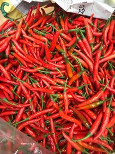 Piment rouge frais cru de qualité supérieure Origine du Vietnam 2025 Produit de haute qualité prêt pour l'exportation en gros - Product Image 6