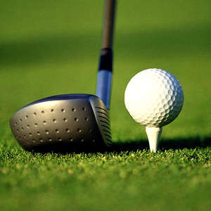 วิธัส อินดัสทรี ขายดี สินค้ามาใหม่ ทีตีกอล์ฟพลาสติกแบบกำหนดเองได้ ทนทาน พร้อมโลโก้ตามสั่ง - Product Image 5