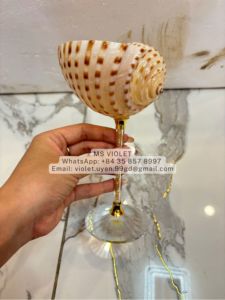 Copas de Martini con Grabado Personalizado de Concha de Ostra, Vasos para Cócteles Costeros, Regalo de Boda en la Playa, Copas Personalizadas para Boda en la Playa - Product Image 2