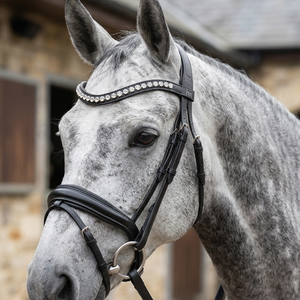 Bridon de dressage anatomique en cuir noir de qualité supérieure avec nezier rembourré en néoprène doux et frontal en cristal transparent de grande taille - Product Image 2