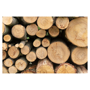 Paletas Euro EPAL de madera para carga pesada, para embalaje industrial, logística, almacenamiento y exportación a todo el mundo. - Product Image 2
