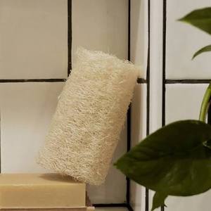Biodegradable Pot Washing Sponge Natural Loofah Scrubber Eco Kitchen Accessories Wholesale Dish Pad - Product Image 3