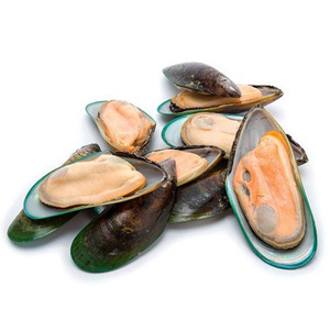 Venta caliente de mariscos: carne de mejillones cocidos y congelados con o sin concha, o en mitades de concha. - Product Image 6