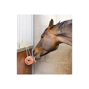 Sal Rosa del Himalaya Natural en Forma Cuadrada para Animales, Fabricante de Sal Rosa del Himalaya, Sal del Himalaya para Caballos, Ganado y Perros - Product Image 6