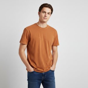 Clothing Manufacturer Plain Blank 100% Cotton <b>Tshirt</b> for Men Plus Size Basic <b>Tshirt</b> Cotton Regular Fit - Product Image 3