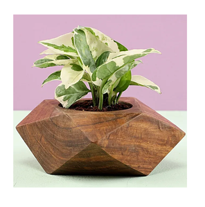 Maceta de madera ecológica de forma cuadrada para decoración de interiores, 3 piezas, maceta de madera moderna al precio más bajo - Product Image 3