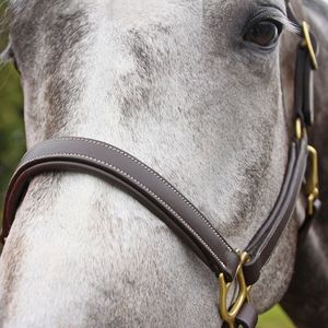 Licol en cuir robuste et réglable pour cheval, équipement équestre durable et saisonnier à prix de gros, OEM accepté - Product Image 4