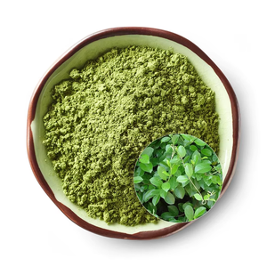 OEM Premium Moringa Leaves Powder for Nutrition 100% Pure Moringa Oleifera Powder for Smoothies, Capsules & Herbal Formulations - Product Image 5