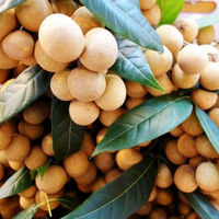 Профессиональный экспортный продукт: Вьетнамский мягкий сушеный лонган со вкусом розовой гуавы, натуральная сладость, готов к употреблению, 200 г, срок хранения 12 месяцев.