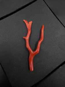 Cuentas de Coral Rojo Italiano 100% Natural de Alta Calidad, Piedras Preciosas en Bruto para la Fabricación de Joyas, Forma de Árbol - Product Image 3