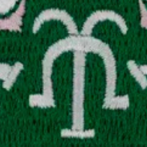 Parche Bordado Rosa y Verde con Insignia de la Hermandad Griega AKA, Termoadhesivo o para Coser en Chaquetas, Bolsos y Gorras - Product Image 4