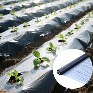 Rollo de película de mantillo de PE personalizado de 0,01-0,20mm de espesor para agricultura para protección contra la humedad OEM ODM proveedor de Vietnam - Product Image 3
