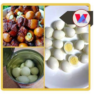 HUEVOS DE CODORNIZ ENLATADOS SEGUROS DE 15 oz, HUEVOS DE CODORNIZ COZIDOS Y PELADOS, PREPARACIÓN RÁPIDA PARA SOPAS ASIÁTICAS, BAOZI, CARNE BRASADA Y OTROS PLATOS - Product Image 2