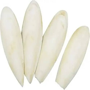 Caña de Pescado (Sepia) Congelada IQF de Alta Calidad, Grado Premium, con Soporte Metálico, Venta al por Mayor a Granel Desde África - Product Image 1