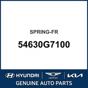 โช้คอัพ IONIQ รุ่น New Leaf & Coil Springs 54630G7100 - Product Image 1