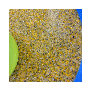 เนื้อเสาวรสแช่แข็งขายส่ง รสชาติและกลิ่นหอมจากผลไม้ธรรมชาติ - Product Image 1