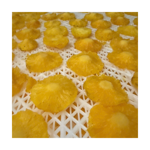 Piña Deshidratada de Rápida Venta, Suministro a Granel, Piña Masticable, Fabricante de Vietnam - Product Image 1