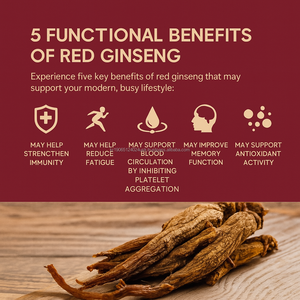 Korea Herbal Energy Shot con extracto de raíz de ginseng envejecido 30 barras líquidas 12,2 mg Saponinas - Product Image 4