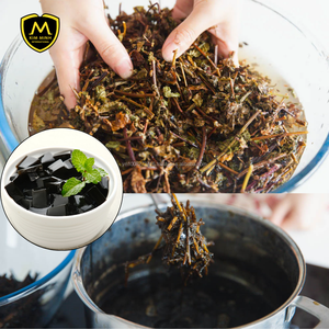 ใบหญ้าเจลลี่แห้งของเวียดนาม (เมโซนา ไชนีนซิส) |   วัตถุดิบธรรมชาติของซินเกา - Product Image 5