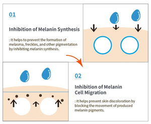 Ampolla Iluminadora para la Piel GTM MELACELL+, Ácido Tranexámico, PDRN, Glutatión, Cuidado de Manchas Oscuras, Cuidado Facial Coreano - Product Image 6