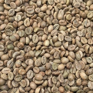 Organic <b>Robusta</b> Green <b>Coffee</b> <b>Beans</b> for Roasting Size 13 Clean Vietnam Highland Farm Supply - Product Image 4