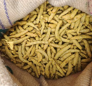 Curcuma Séché de Haute Qualité en Gros, Épice Naturelle pour Usage Culinaire et Soutien à la Santé, Exportation en Vrac ED01-TUR-LKF-25_01 - Product Image 6