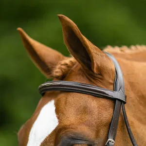 Brida de cuero para caballo estilo inglés de gran venta con cabezada y riendas en negro, marrón, tostado y variedad de colores con servicio OEM - Product Image 2