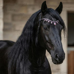 Diadema de Cuero Negro de Lujo para Caballo con Cristales Morados en Forma de Lágrima y Adornos de Diamantes de Imitación - Product Image 4