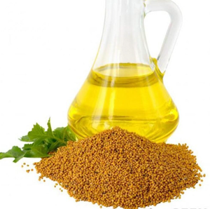 Approvisionnement d'usine de qualité supérieure en gros d'huile de graines de moutarde pure pour les soins de croissance des cheveux - Product Image 5