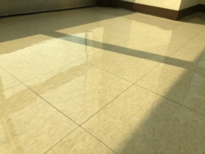 Cire pour plancher EZ Shine Plus - Product Image 5